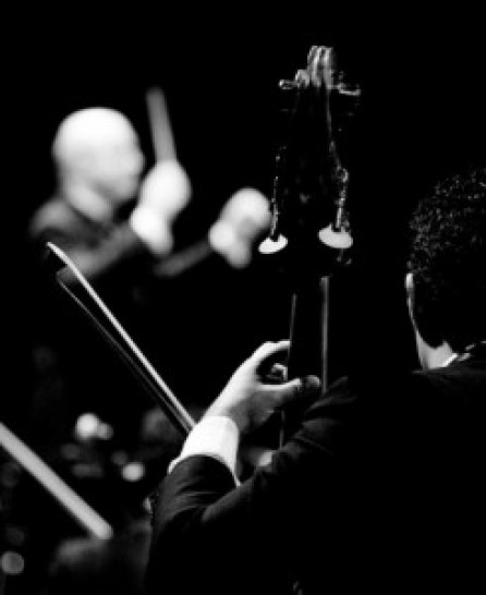 imagen La Orquesta Sinfónica comienza su Ciclo 2011
